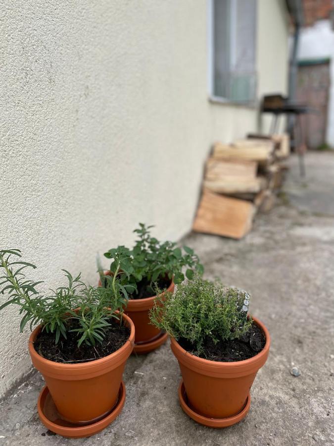 Wiejska Chatka Ujście-Darłowskie Exteriér fotografie